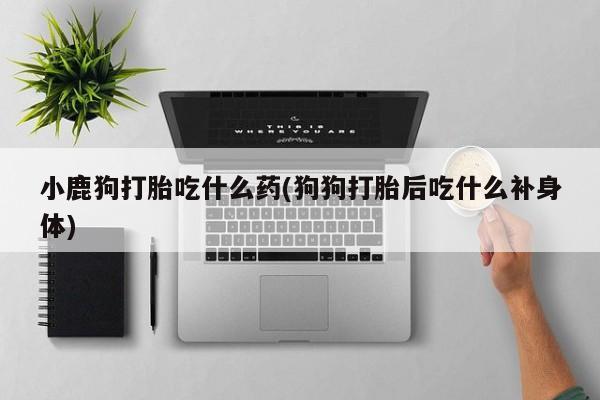 打胎药联系微信小鹿狗打胎吃什么药(狗狗打胎后吃什么补身体)