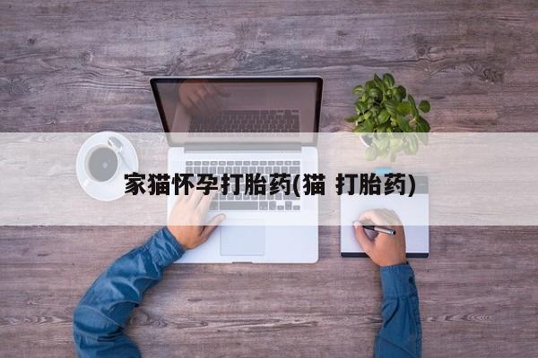 打胎药联系微信家猫怀孕打胎药(猫 打胎药)